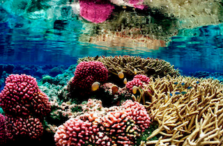 09. Earth's Oceans Image