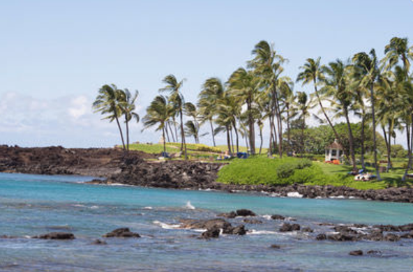 12. Climate Image