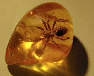 16. Earth's History Image