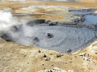 19. History of Life on Earth Image