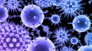 05. Viruses and Prokaryotes Image