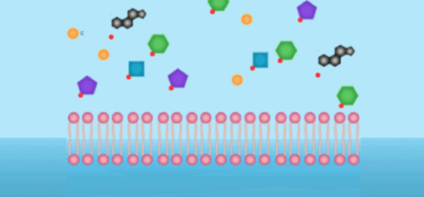 03. Sciences Image
