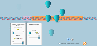 Biology Image